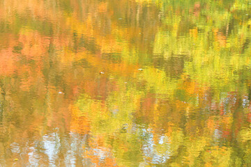 Photo of the forest reflection on the surface of a pond in autumn, similar to the effect of Monet's watercolor painting
