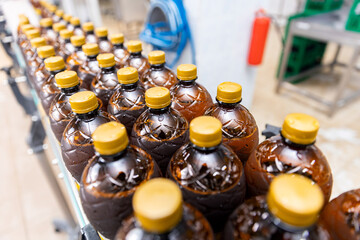 Brown plastic beer bottles moving on conveyor, top view. Concept production line of brewery, modern food industry