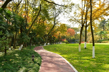 Photo of the path in the autumn forest