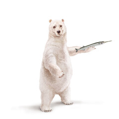 illustration d'un ours polaire qui tiens un  poisson           orphie dans sa main avec un e écharpe 