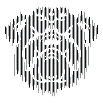 Bulldogs. Vector illustration of bulldog head in vertical line style. Suitable for pins, posters, stickers, greeting cards etc