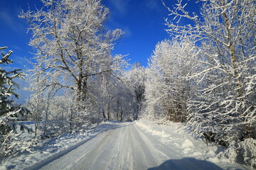 Obraz premium snow covered road
