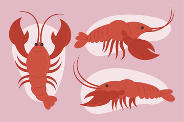 cooked shrimp illustration