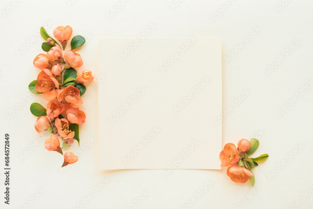 Sticker Flat lay composition with orange flowers on light background. Minimal floral frame. Top view. Copy space. Happy mother's day, women's day, birthday or wedding. Empty card, mockup.