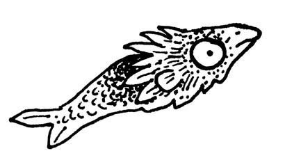 The fish is terrified Logo Stamp Print Tattoo