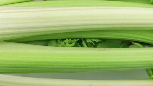 Green celery stem sticks circle rotation close up