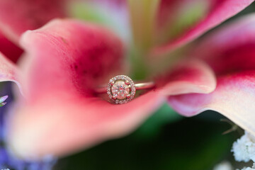 anillos, anillas, anillo, alianzas, doble, par, dos, amor, pareja, macro, zoom, blanco, rosado,...