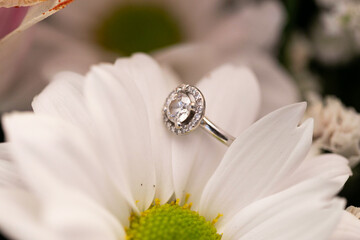 anillos, anillas, anillo, alianzas, doble, par, dos, amor, pareja, macro, zoom, blanco, petalo