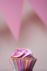 Colorful cupcake with single birthday candle.