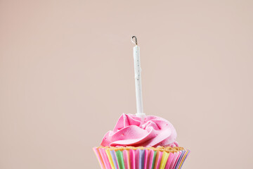 Colorful cupcake with single birthday candle.