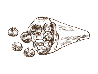 Hand-drawn sketch of baked chestnuts in a paper bag. Vector food drawing. Traditional Christmas. Illustration for packaging, label, recipe, menu. Vintage holiday design.