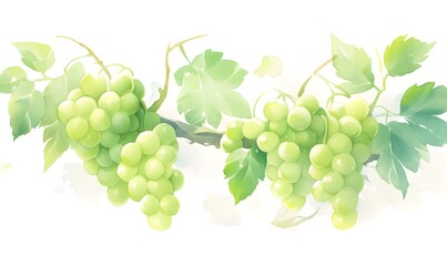 Obraz premium Watercolor green grapes background, Generative AI