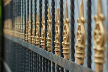 fence with black metal in big house for safety, with gold color in design, a background, building and architecture