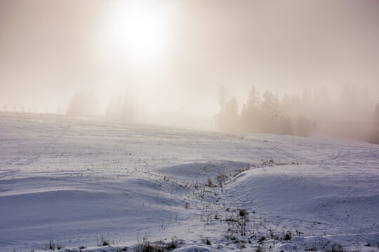 landscape on a misty afternoon in winter. scenery with forest on a snow covered hill. sun behind the clouds