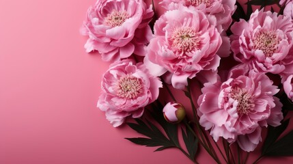 Pink Fresh Summer Peony Flower Concept , Background HD, Illustrations