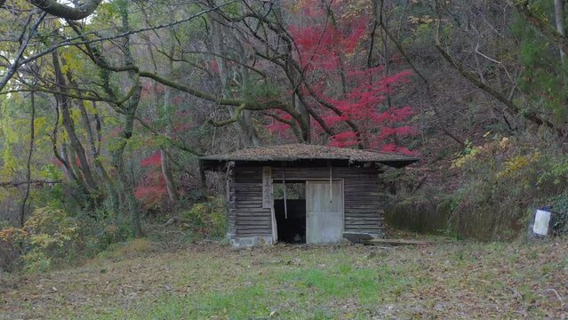 Abandoned Shack in the forest of Japan, written in Japanese "maintenance office"