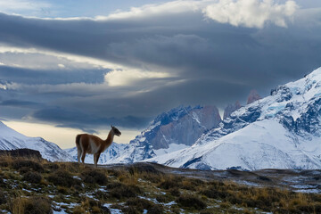 Mountain landscape environment, Torres del Paine National Park, Patagonia, Chile.