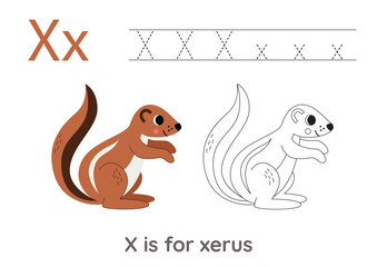 Tracing alphabet letters with cute animals. Color cute xerus. Trace letter X.