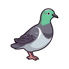 vector funny cartoon pigeon illustration. Geometric flat style. Pigeons sticker. Pigeons collection. cartoon bird character