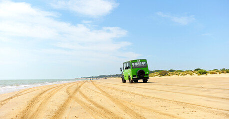 Guided tourist tour in a 4x4 off-road vehicle to the Doñana National Park, Andalusia, southern...