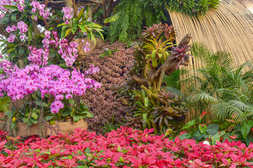 beautiful flowers blooming in a greenhouse