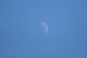 昼間の月