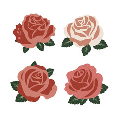 set of roses isolated on white background