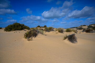 piscinas