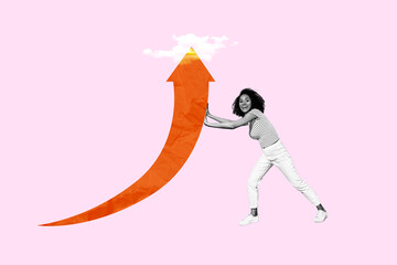 Pin up template collage poster of woman achieve high earnings statistics push arrow up