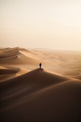 Fototapeta na wymiar Magic landscape of golden sand dune in desert at sunset. A man walking on the ground, a traveler, a tourist, a resident of the desert.