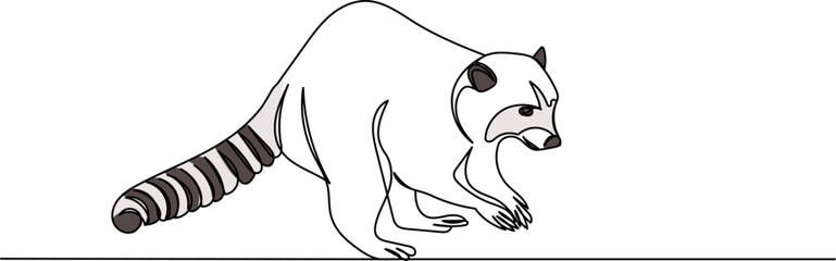 raccoon line drawing, sketch vector