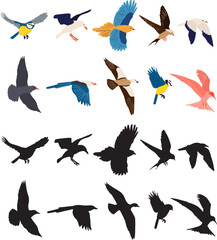 flying birds set in flat style on white background vector