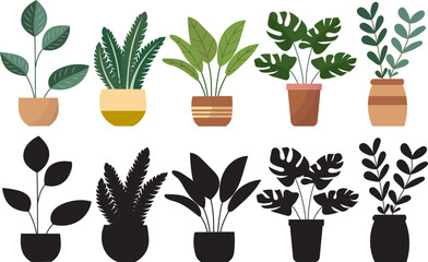 indoor plants set in flat style on white background vector
