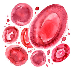 Czerwone krwinki ilustracja