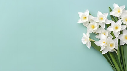 Fresh scented bouquet of white narcissus on a colored backdrop isolated pastel background Copy space