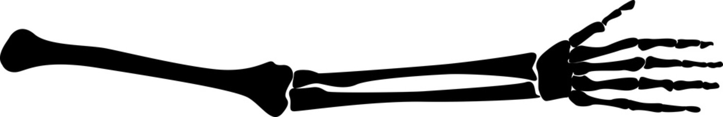arm bone human silhouette