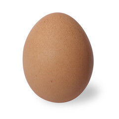 Single brown chicken egg cut out isolated