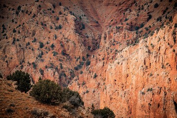 red rock background