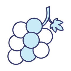 Grape icon vector on trendy design