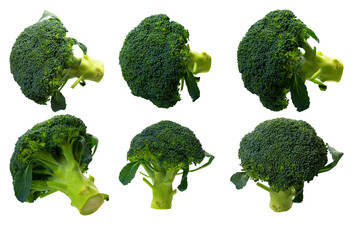Broccoli is one of the most commonly used vegetables in Western foods such as salads, soups, and...