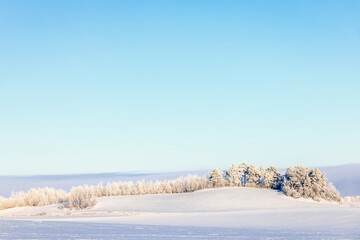 Snowy fields with trees on a hill on a cold winter day