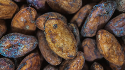 macro photography of cocoa beans