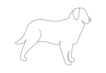 Continuous single line drawing of cute dog. Isolated on white background vector illustration. Pro vector. 