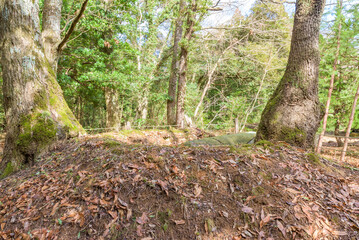 Tokurenba Kofun, a National Historic Sie, in Shimane Prefecture, Japan