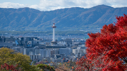 日本の京都にある京都タワーを紅葉と一緒に撮影
