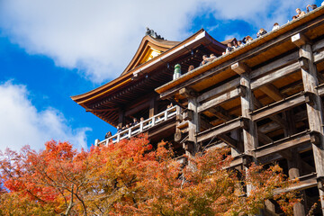 日本の京都にある清水寺の清水の舞台を秋に撮影