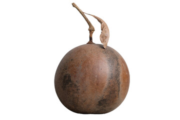 Dried Calabash Cujete Crescentia fruit isolated on a white background