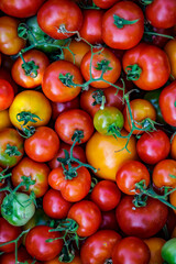 Colorful organic tomatoes.Assortment of tomatoes. Plenty fresh tomatoes of various colors and cultivar background texture.Growing healthy vegetables.