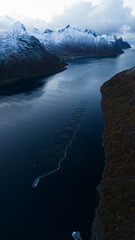 An aerial top down of a Norwegian Fish Cage.  Located in the arctic circle of northern Norway. Shot...