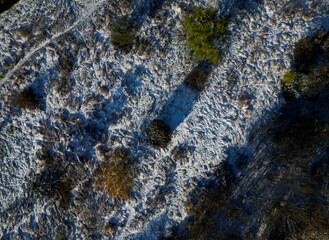 flying over the shrubbery with white blooming cherry trees and fresh green creating a spring...